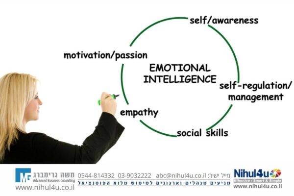 אינטליגנציה רגשית EQ המדריך למנהלים המבקשים להצטיין